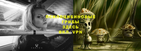 кокс Алексин