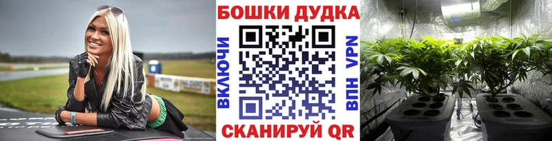 наркота  Брянск  МАРИХУАНА THC 21% 