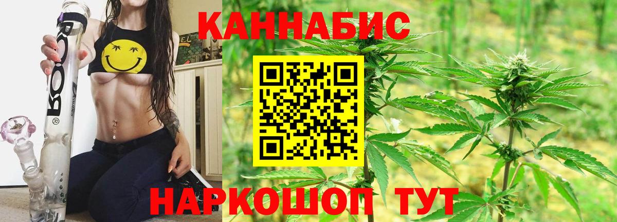Шишки марихуана планчик  МАРИХУАНА гибрид  Брянск  Конопля SATIVA & INDICA  Вход с VPN 